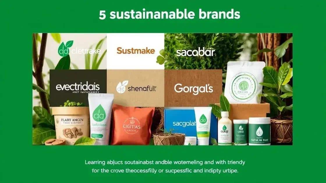 successful case studies of sustainable brands