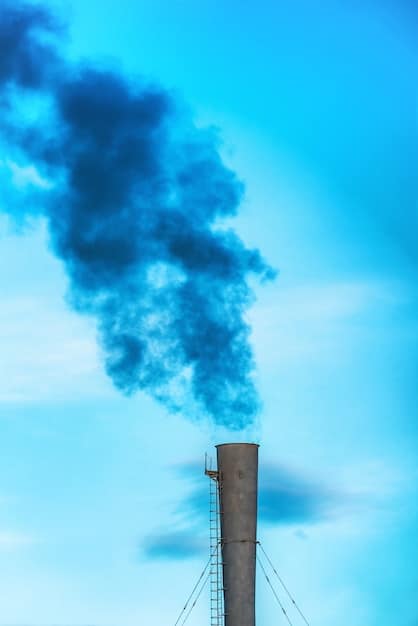 Clean Air Act Update: Impacts on US Businesses and Compliance