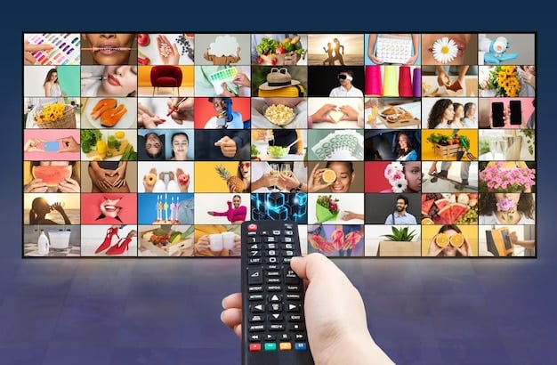 A collage showing the user interfaces of Viki, Netflix, and Crunchyroll on different devices (TV, tablet, phone), with annotations highlighting features like search functionality, subtitles, and video quality settings.