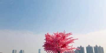 K-Drama Tourism: Your 2025 Trip to South Korea - Cover Image