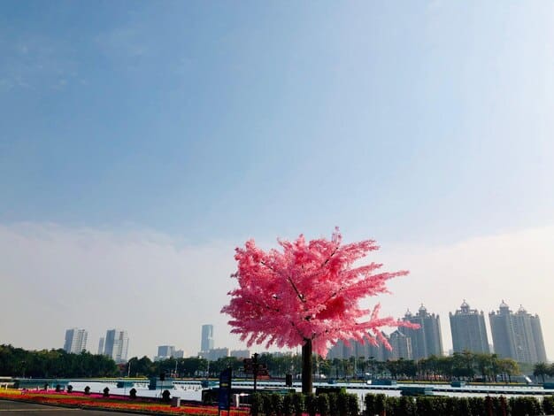 K-Drama Tourism: Your 2025 Trip to South Korea