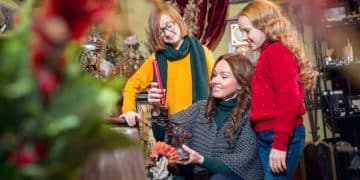 Seasonal Opportunities: Leverage Strategies for Sem categoria During the Holidays - Cover Image